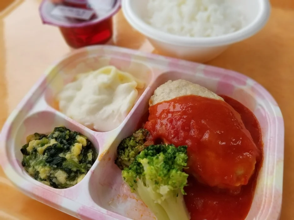 区分けされたトレイに盛り付けられた冷凍弁当