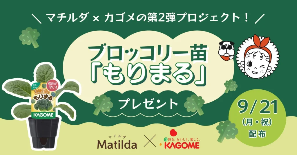 マチルダとカゴメがコラボ!ブロッコリー苗「もりまる」をプレゼント、おうちで食育体験を