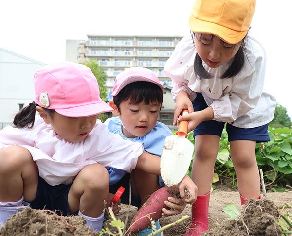 園児41人が秋のサツマイモ掘りに挑戦！高槻市・吉田農園で収穫体験