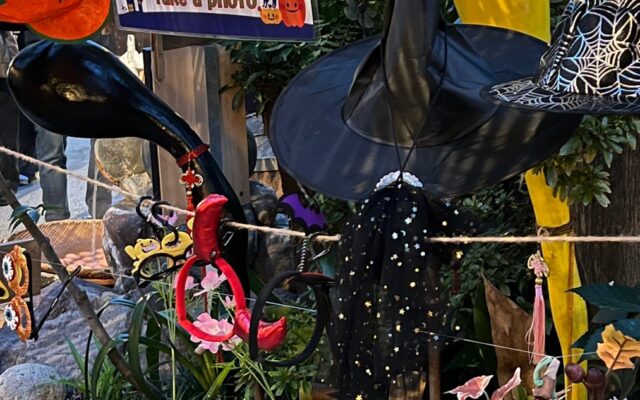 温泉で、ハロウィン。― 別府・ひょうたん温泉が館内をハロウィン仕様に、10/31は子どもにお菓子をプレゼント