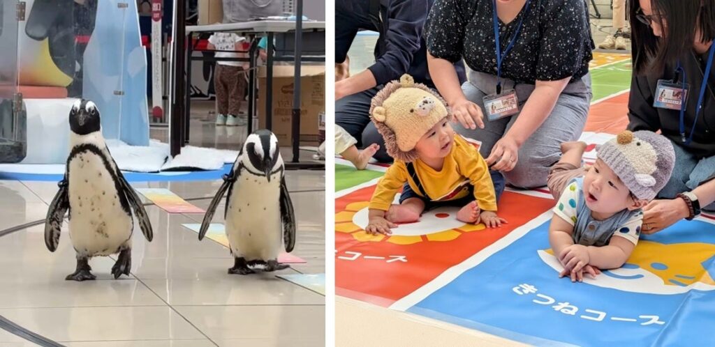 【開催レポート】10月10日は赤ちゃんの日!ペンギンのよちよち開会セレモニーで開幕! 「アドベンチャーワールド&アカチャンホンポ」ハイハイレース100名参加で初開催