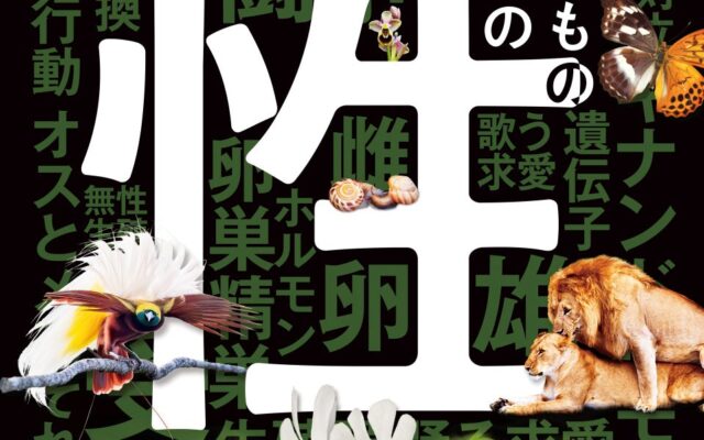 早稲田アカデミー、国立科学博物館 特別展「生きものたちの性」に協賛