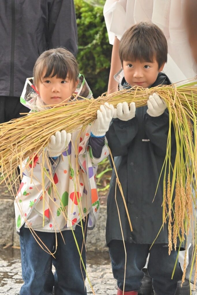 都会の親子約200名が、稲刈りで“秋の恵み”を体験!アンジェリカ保育園、千葉県長柄町で稲刈り体験イベント開催